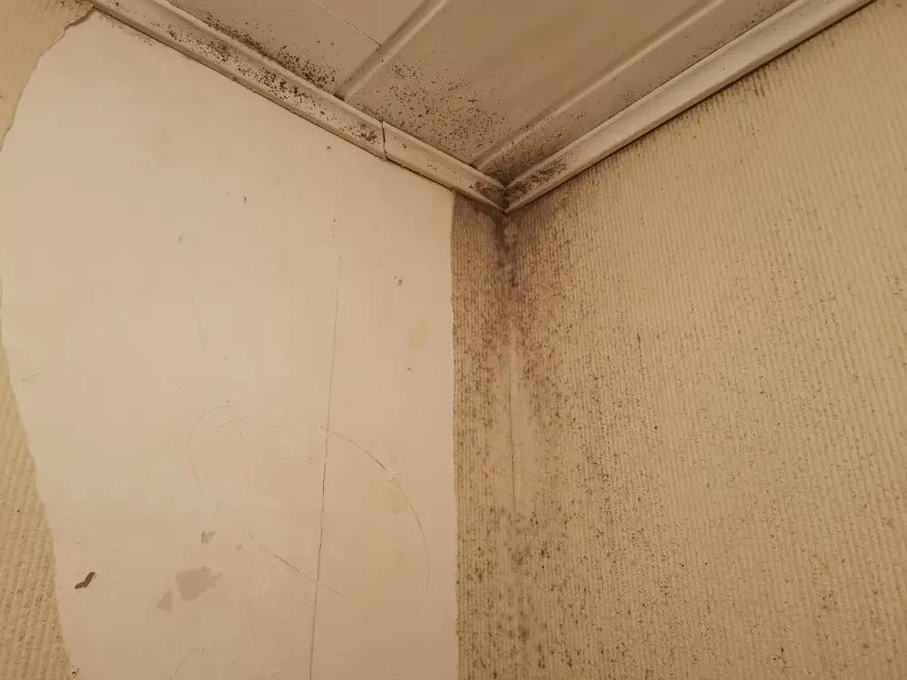 Chantier Coloniaux - Aménagement intérieur (2)